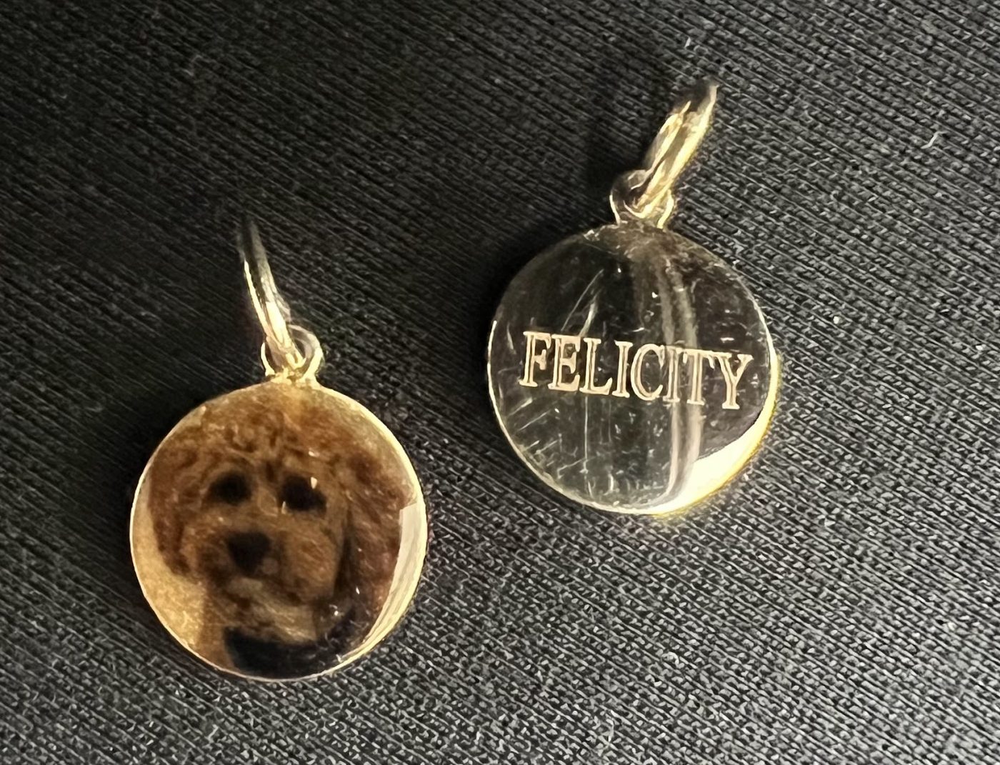 Two gold pendants, one with a pet portrait and one engraved with a name